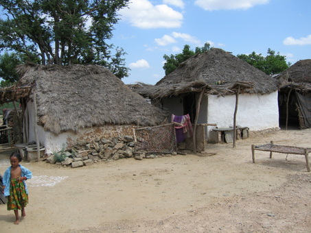 Fr. Jeff’s India Journal – Week 2